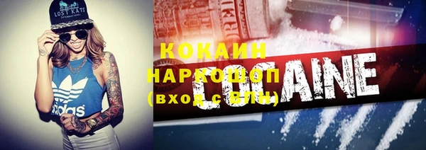 крисы Белокуриха