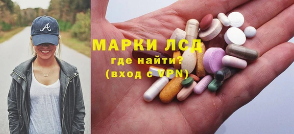 шишки Белоозёрский