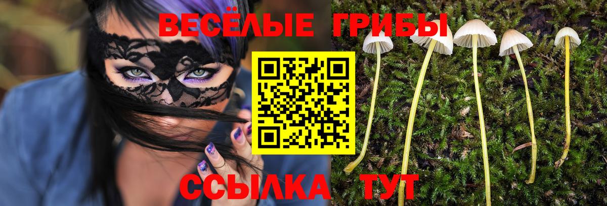 Галлюциногенные грибы Psilocybine cubensis Фрязино