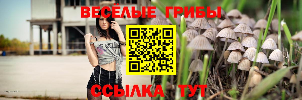 Галлюциногенные грибы GOLDEN TEACHER  Вход с VPN  Галлюциногенные грибы прущие грибы  Фрязино 