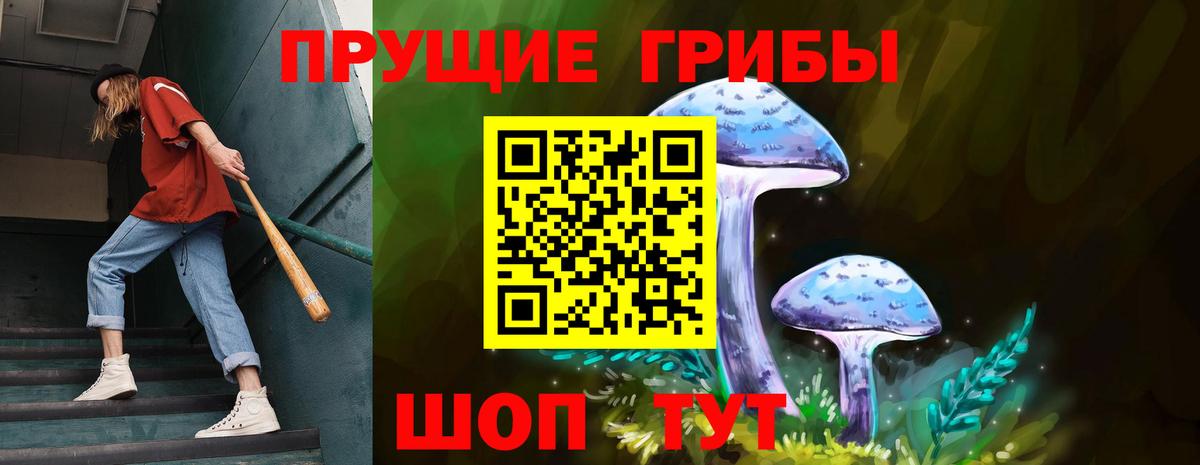 Псилоцибиновые грибы ЛСД  Галлюциногенные грибы Psilocybe  Фрязино 