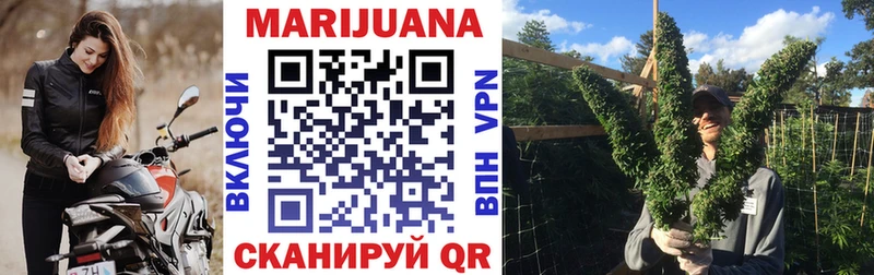 Канабис гибрид  где найти   Фрязино 