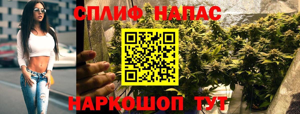 Бошки марихуана SATIVA & INDICA  Канабис гибрид  Фрязино  Конопля конопля 